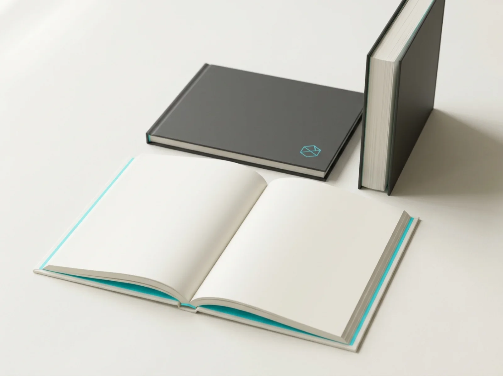 Libri rilegati e cataloghi